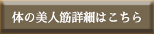 身体の美人筋詳細
