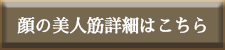 顔の美人筋詳細